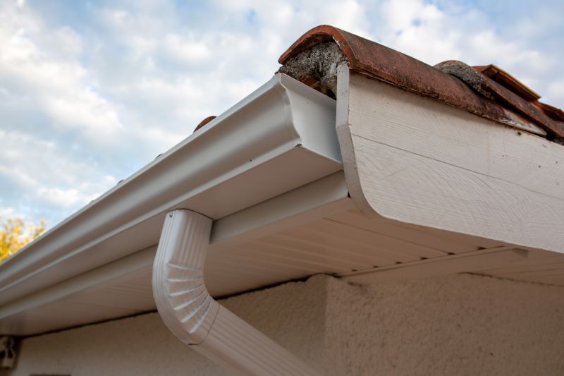 Gutter and Roof System Check